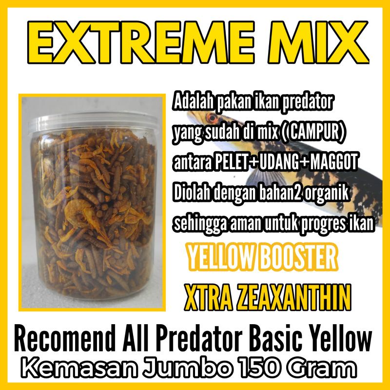 Pelet Channa&gt;Extreme Mix Yellow-Pelet+Udang+Maggot 150 Gram