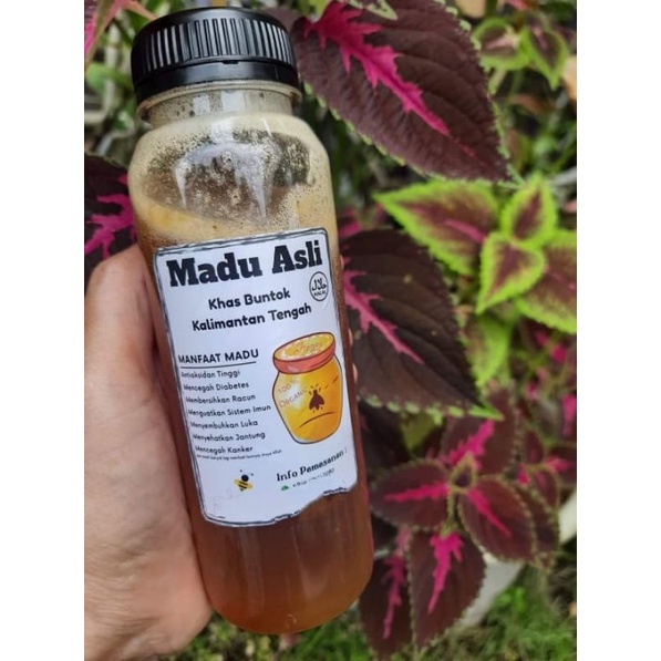 

madu asli khas bunto