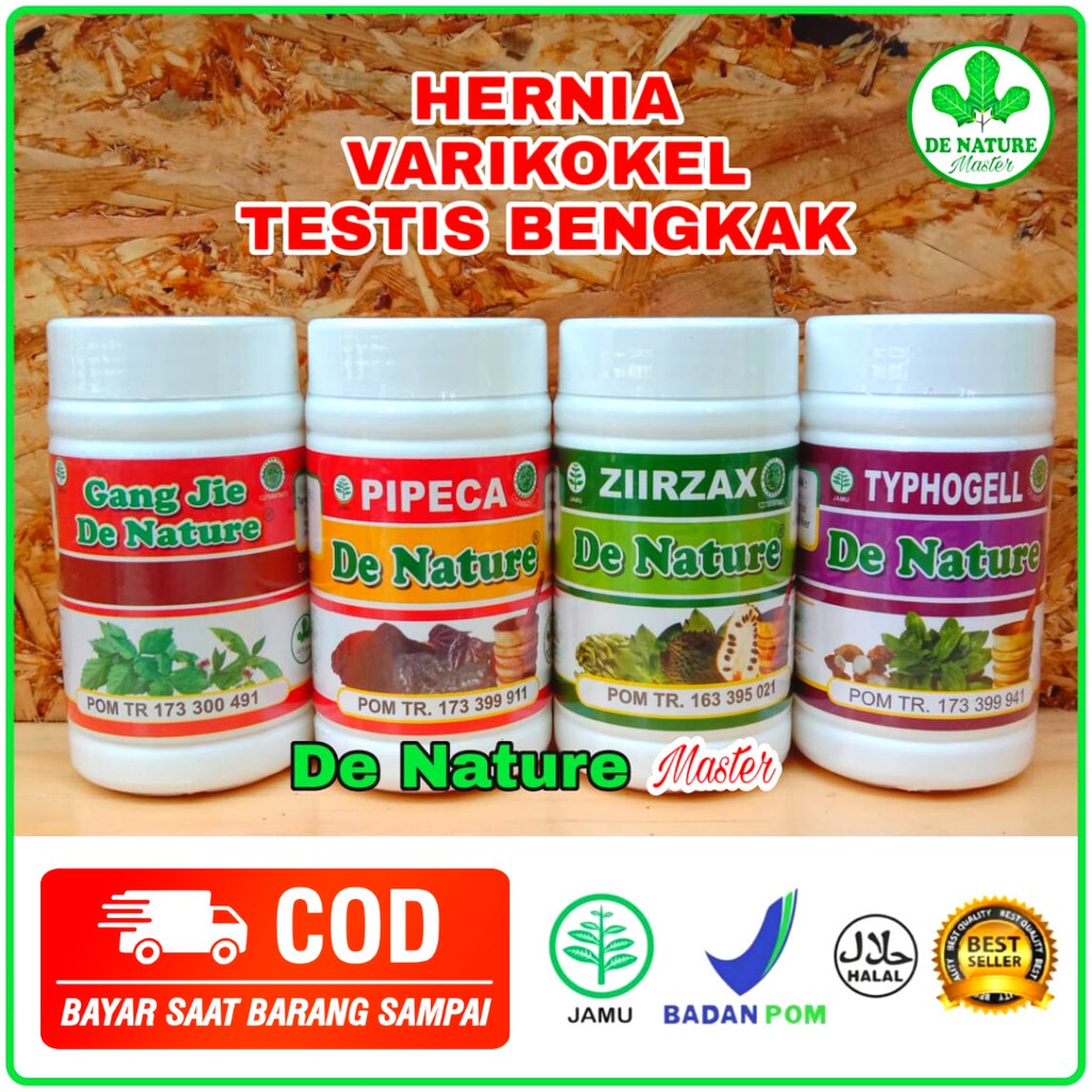 Obat Varikokel Paling Bagus Obat Varikokel Tanpa Operasi Obat Nyeri Buah Zakar Obat Turun Peranakan