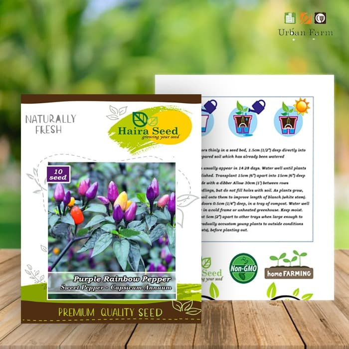 Haira Seed Bibit-Biji Cabe Hias Pelangi Purple Rainbow