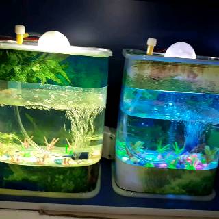 Aquarium Mini Ikan  Hias  dan Cupang  Lampu  tidur Mesin 