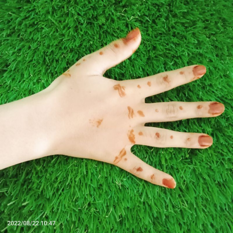 chandni nail Henna hena pacar kuku box isi 12/ oleh oleh haji dan umroh