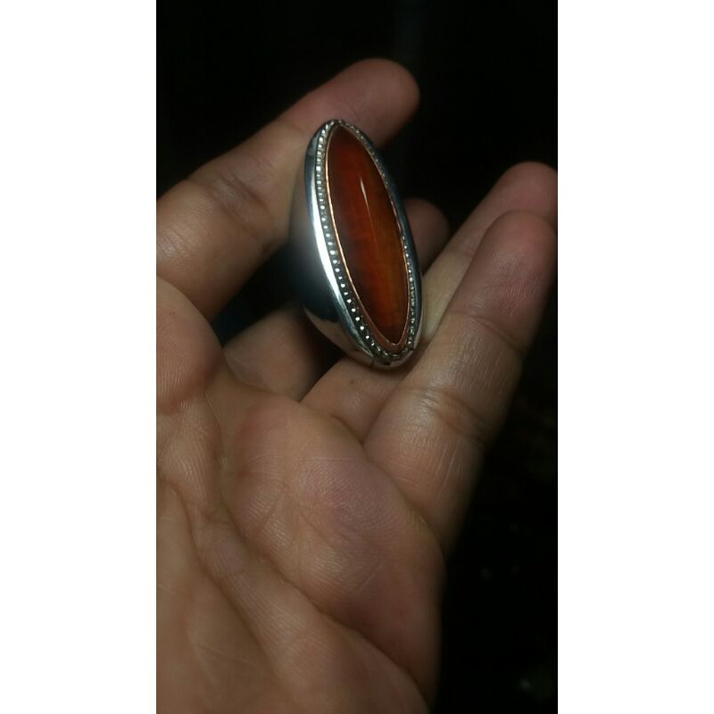 pandan merah jamblang super harg 200k