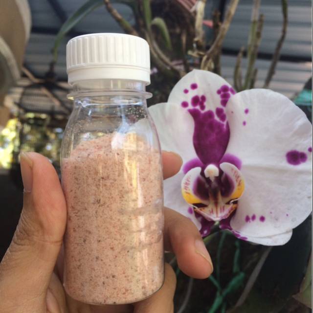 

GARAM HIMALAYA 100% ORGANIK