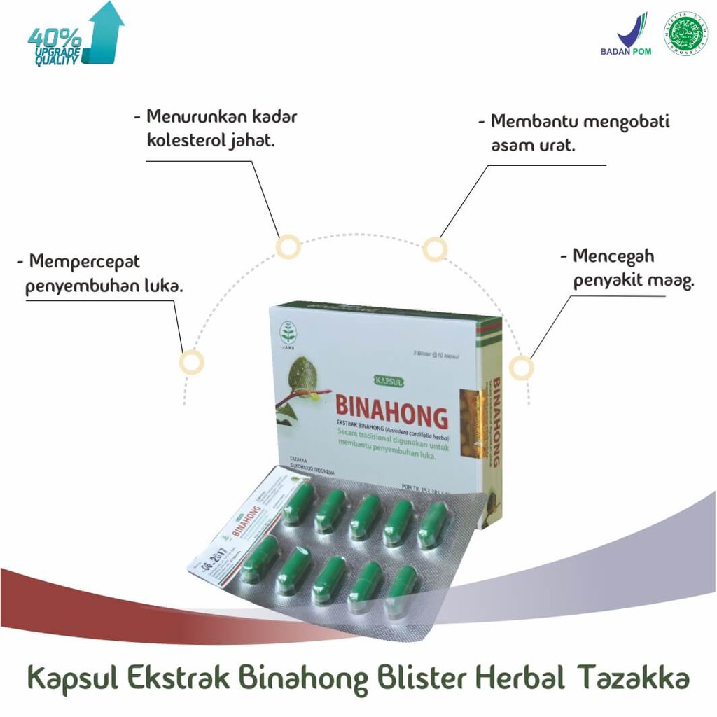 Obat Herbal Luka Pasca Operasi Ekstrak Daun Binahong Asli Tazakka Original 20 Kapsul Blister.