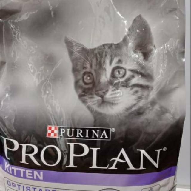 Proplan kitten