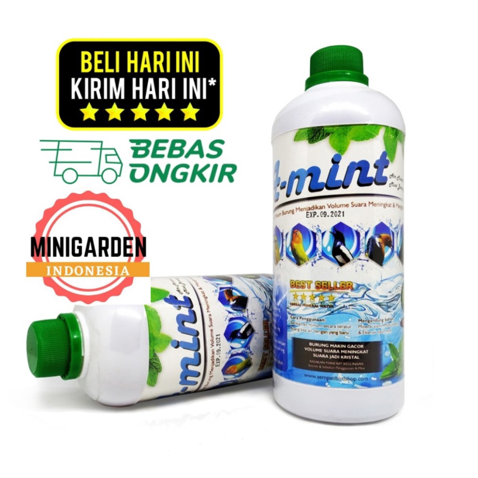 SOLUSI SESAK NAFAS SERAK PENYAKIT PERNAFASAN BURUNG MINT WATER air minum segala jenis burung