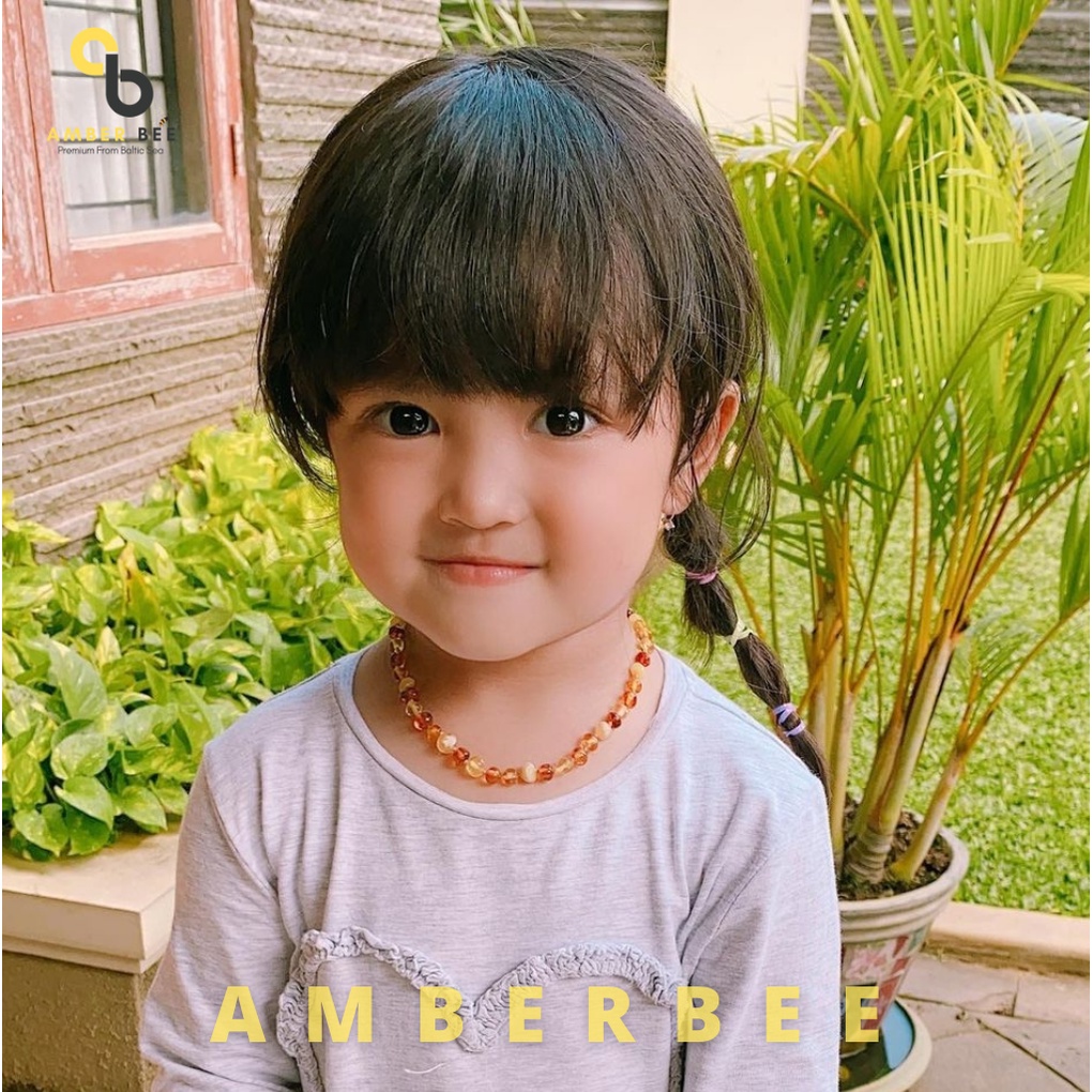 AMBERBEE Set Kalung Gelang Amber Lithuania Bayi &amp; Anak Tumbuh Gigi Premium Glossy Mix2 NGBLC2953