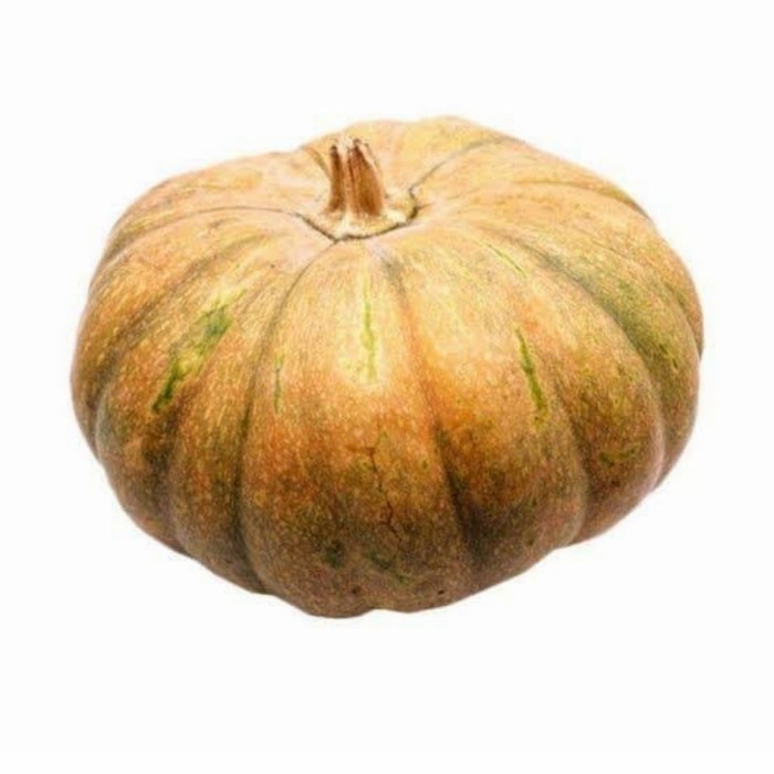 

Labu Parang - 1 Buah