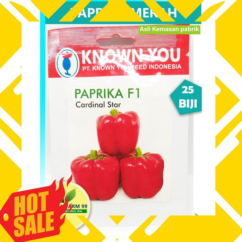 MURAH MERIAH Benih Paprika F1 Cardinal Star Know You Seed