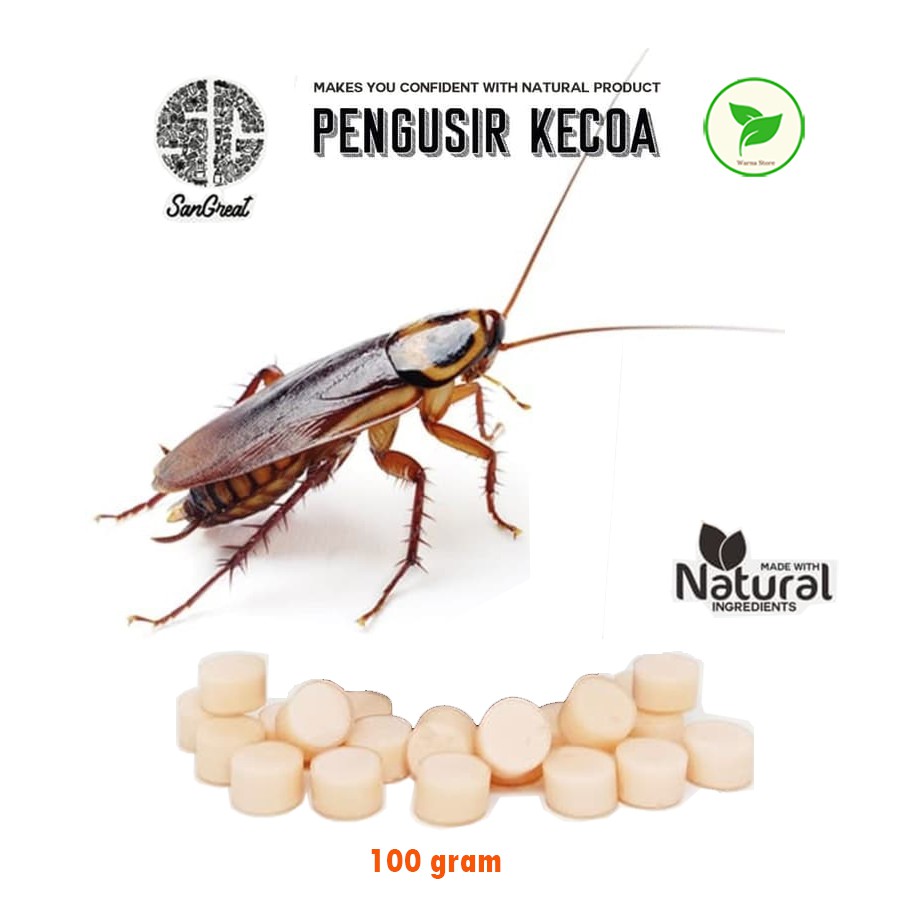 Pengusir Kecoa Ampuh Natural Gel, Bye Bye Kecoa