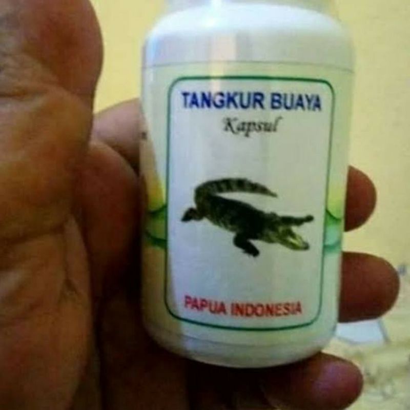 Tangkur Buaya Extraxt Kapsul Herbal Obat Stamina Pria Tahan Lama Atasi ejakulasi dini