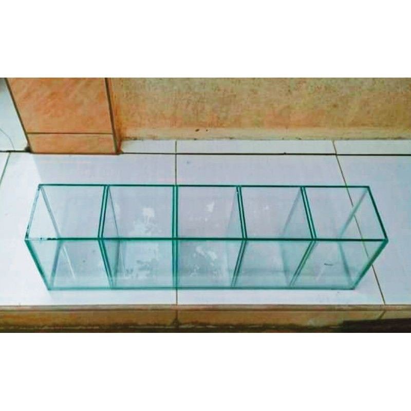 Soliter ikan cupang kamar 5 /Aquarium ikan cupang sekat 5