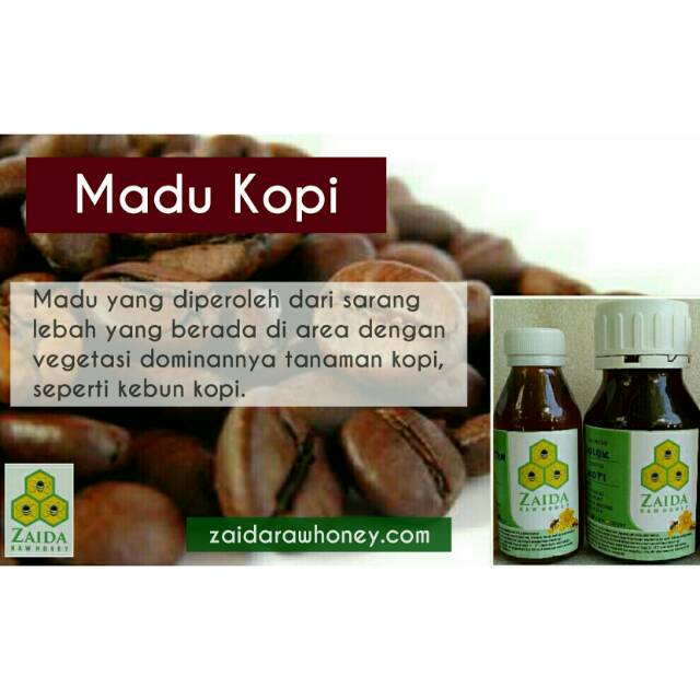 

Madu Kopi Non Olahan 200 gr