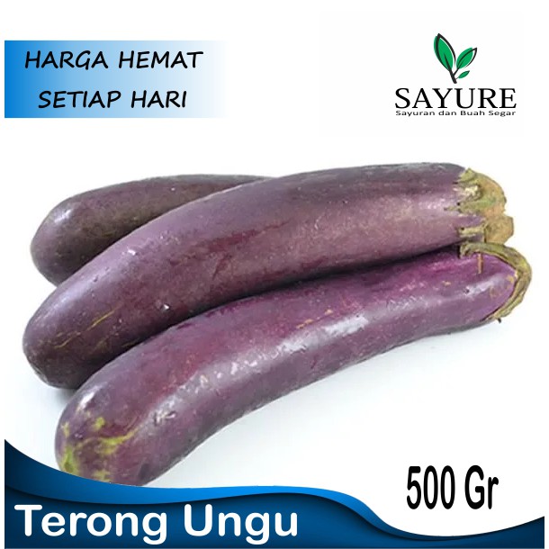 

TERONG UNGU FRESH 500 GR