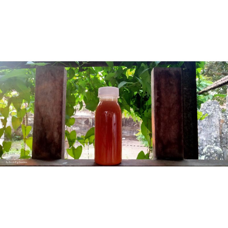 

Madu Trigona 100 ml