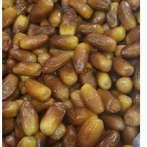 

Kurma Tunisia Madu 10kg