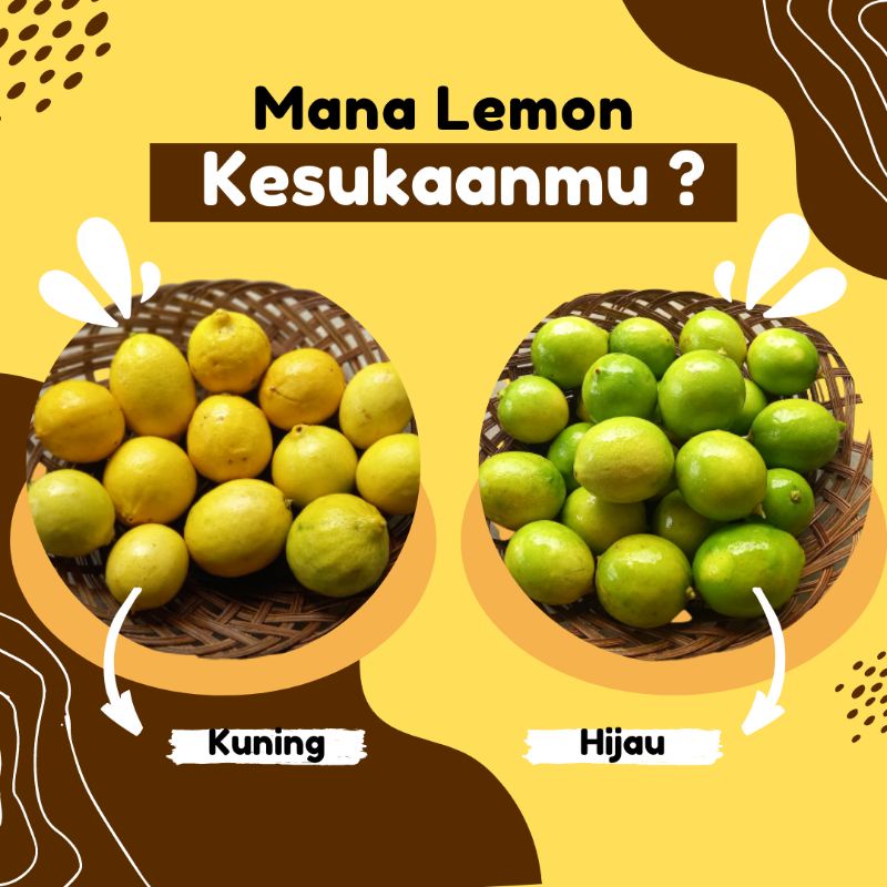 

Lemon Bonnie Brae/Lemon Lokal 1 kg