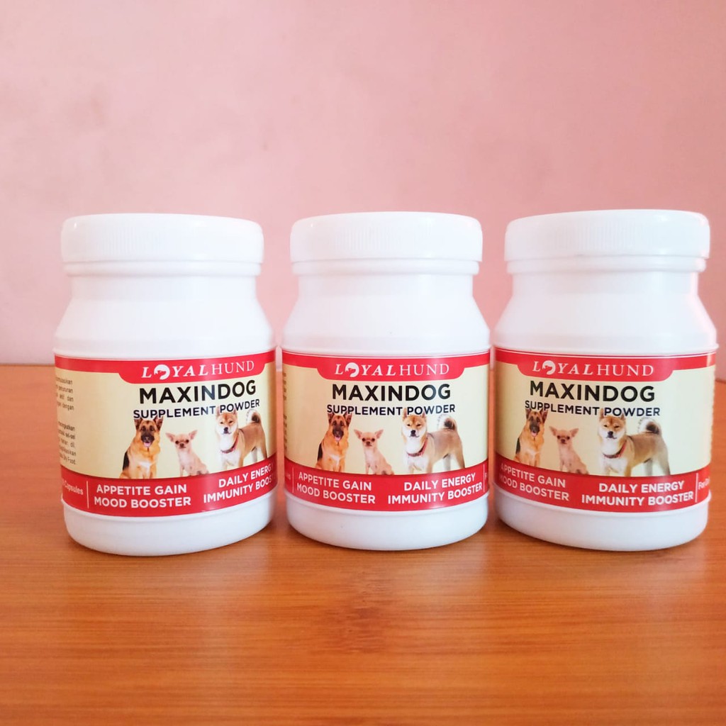 MAXINDOG MENGEMBALIKAN NAFSU MAKAN ANJING AKIBAT SAKIT &amp; LESU VITAMIN ANJING