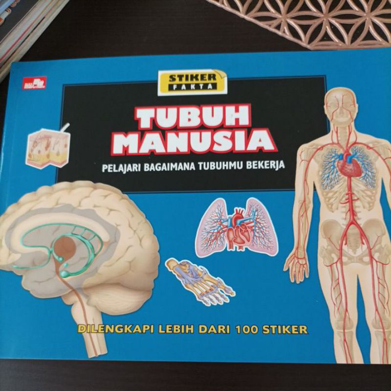 Buku stiker Tubuh Manusia
