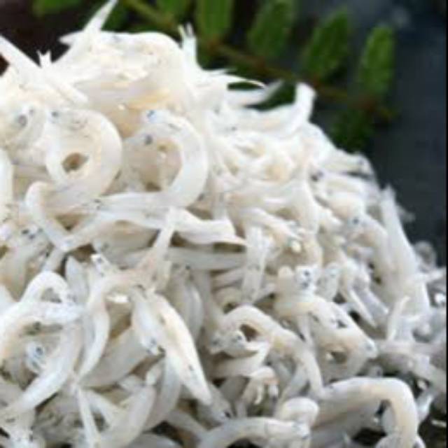 

Ikan Teri Medan