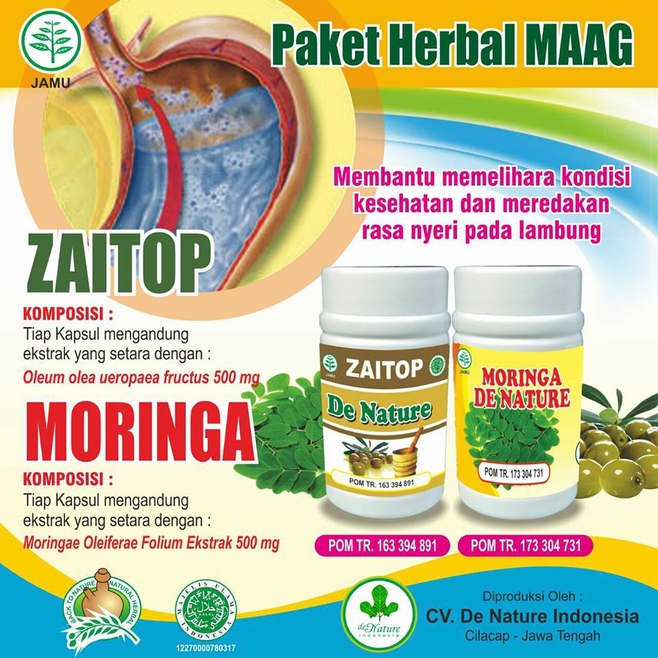 Herbal Obat Magh Kronis Asam Lambung Liver Maag Mah Nyeri Alami Ampuh Dan Manjur Shopee Indonesia