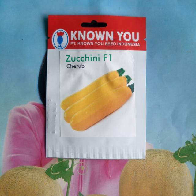 Benih Zuchini kuning CHERUB