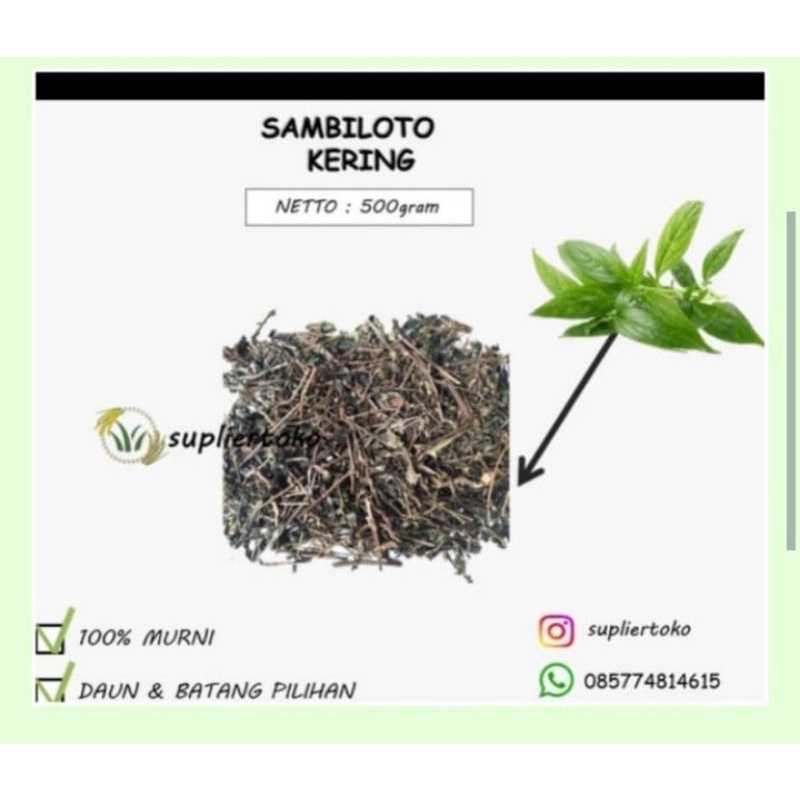 

500gr Sambiroto/Sambiloto cacah kering