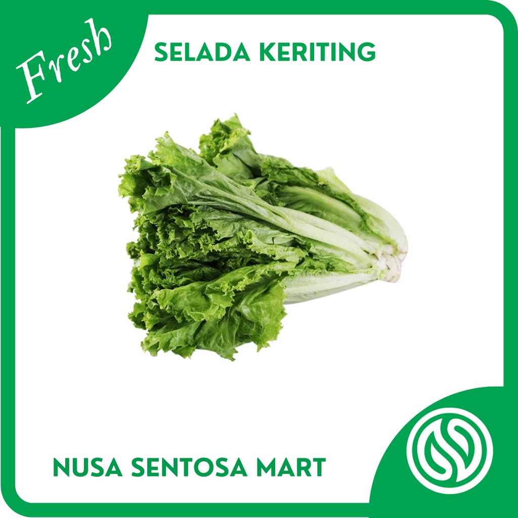 

Sayur Selada Keriting Segar – 250g