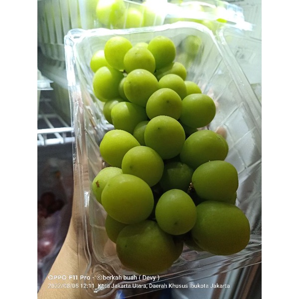 

anggur shine Muscat , muanis lembut bukan merk tiger merk biasa