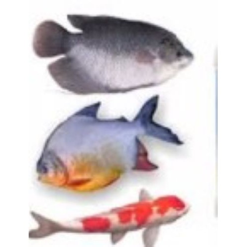 OBAT GEMUK IKAN PROTEN 2000 VITAMIN PENGGEMUK IKAN LELE NILA  GABUS MUJAIR MAS PATIN AMPUH