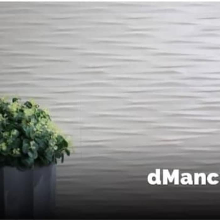 Roman Keramik W63433R dManchester Bone 30x60 perkakas