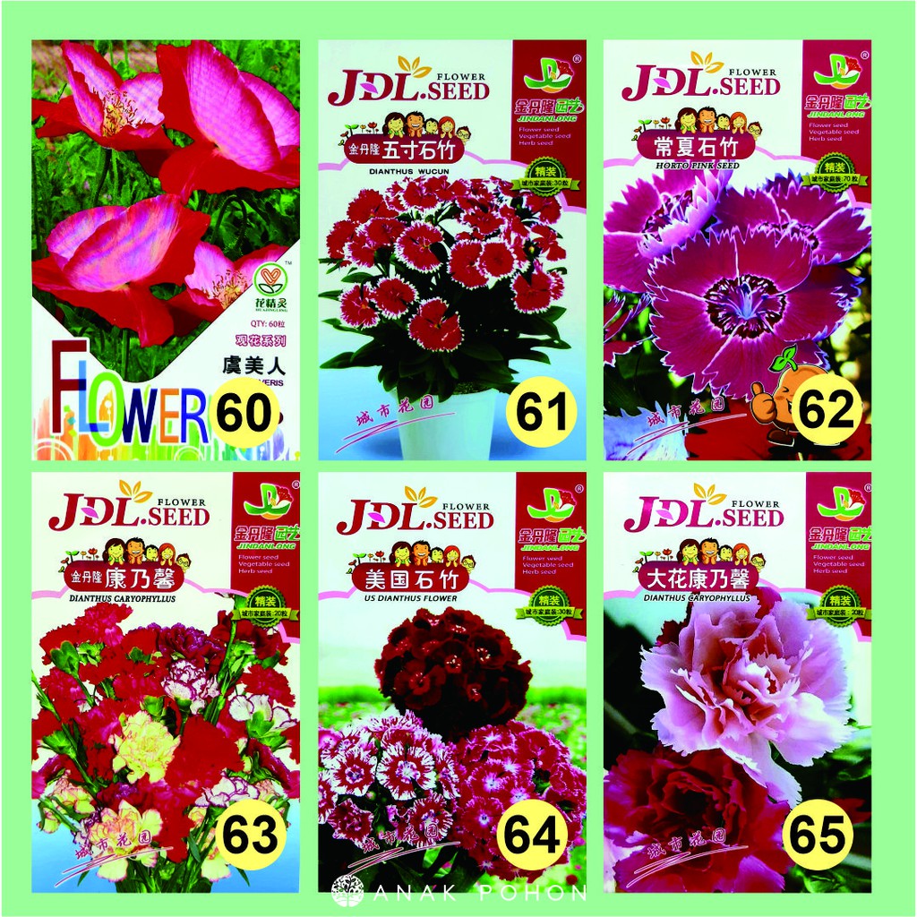 Benih Aneka Bunga Flower JDL Seed Retail Pack - Tipe C