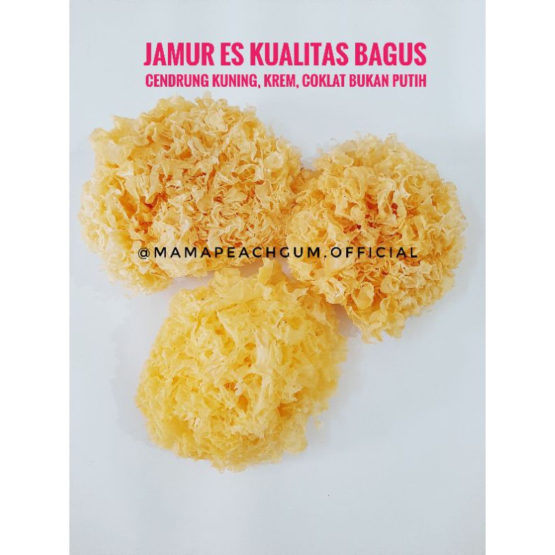 Jamur Es 15 gr Kualitas Bagus dan lembut / jamur salju / bai mu er / snow fungus