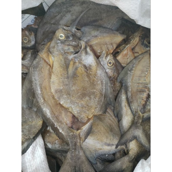 

IKAN ASIN BAWAL 1KG
