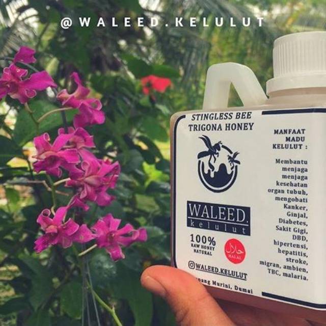 

Madu kelulut 500 ml