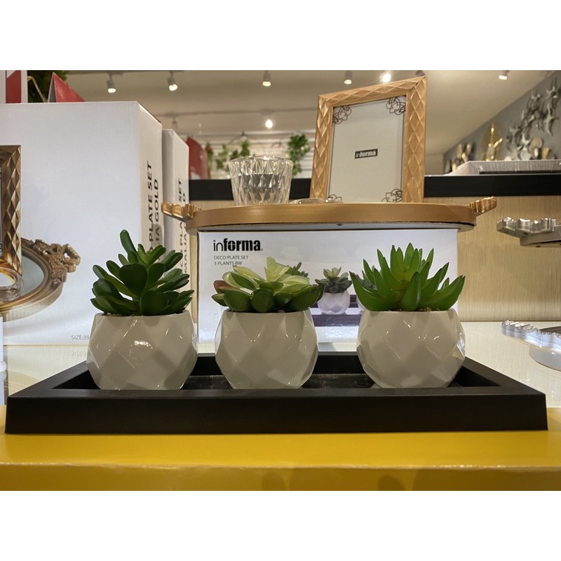 INFORMA DECO PLATE SET OF 3 PLANTS (DEKORASI TANAMAN HIAS BUATAN ART)
