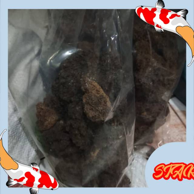 Aquarium aquascape batu lava rough lava rock merah hitam 1 kg ecer