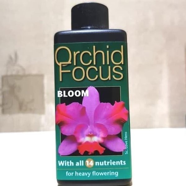 Pupuk Cair Orchid Focus Bloom 100 ml