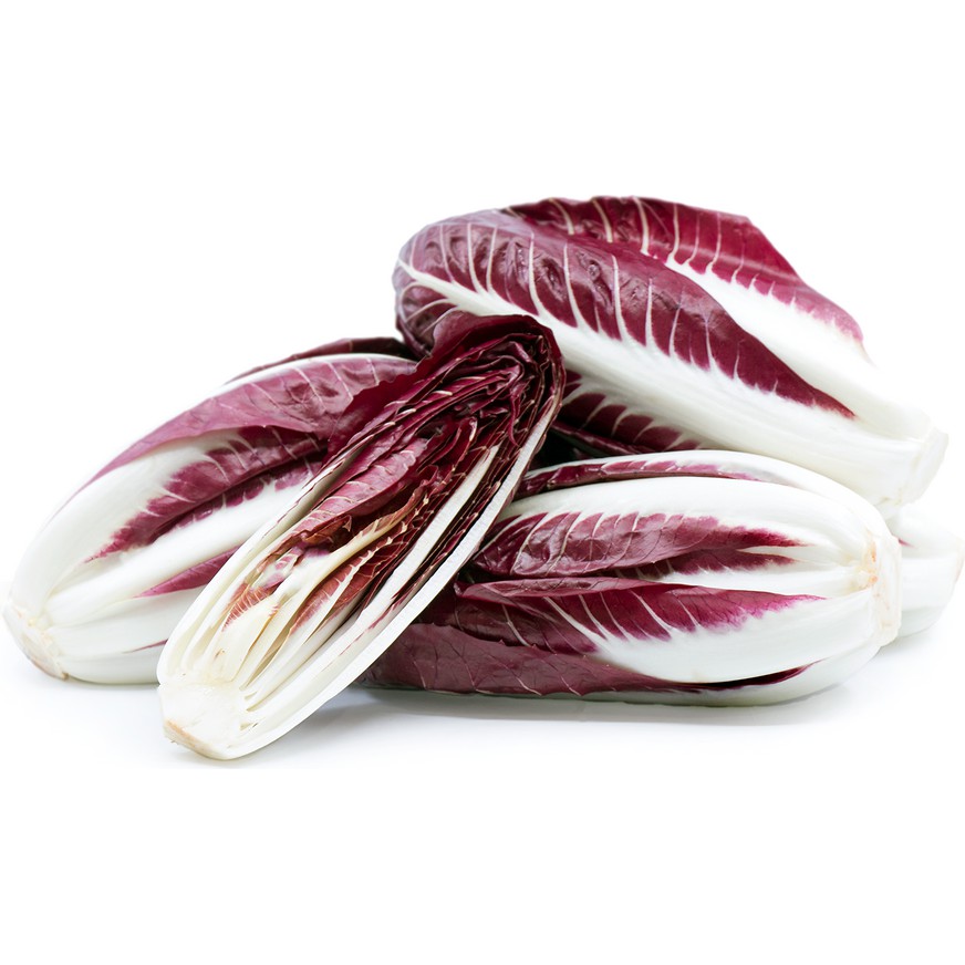 Benih Bibit Biji - Radicchio Rossa di Treviso precoce / Sawi Merah Italia Red Chicory - IMPORT