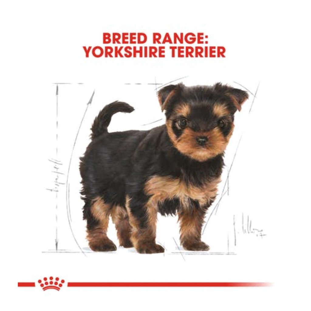 ROYAL CANIN YORKSHIRE TERIER JUNIOR 1,5KG