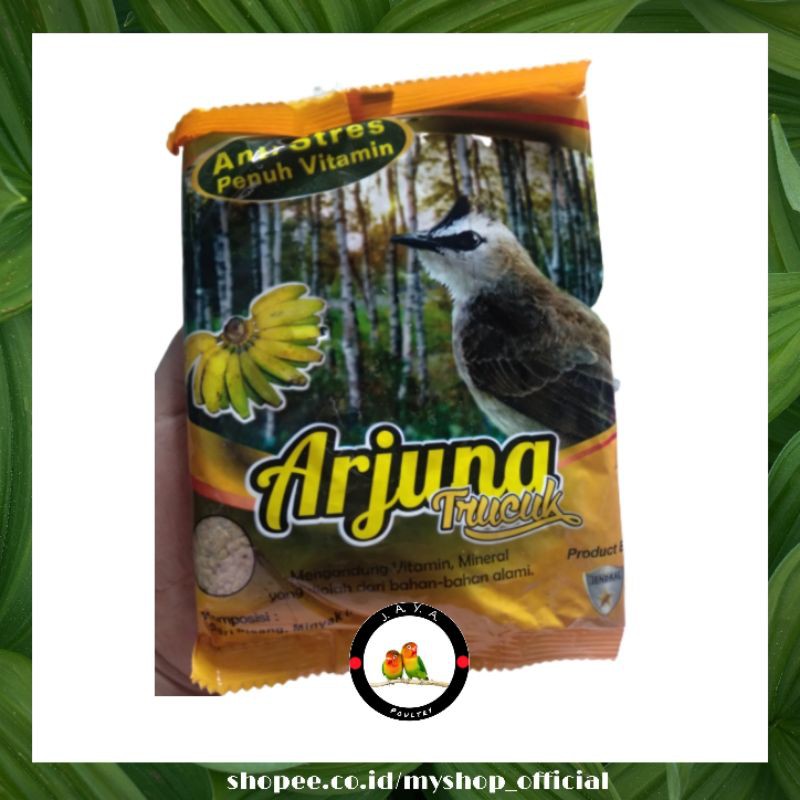 830 Gambar Burung Trucuk Kartun Terbaik