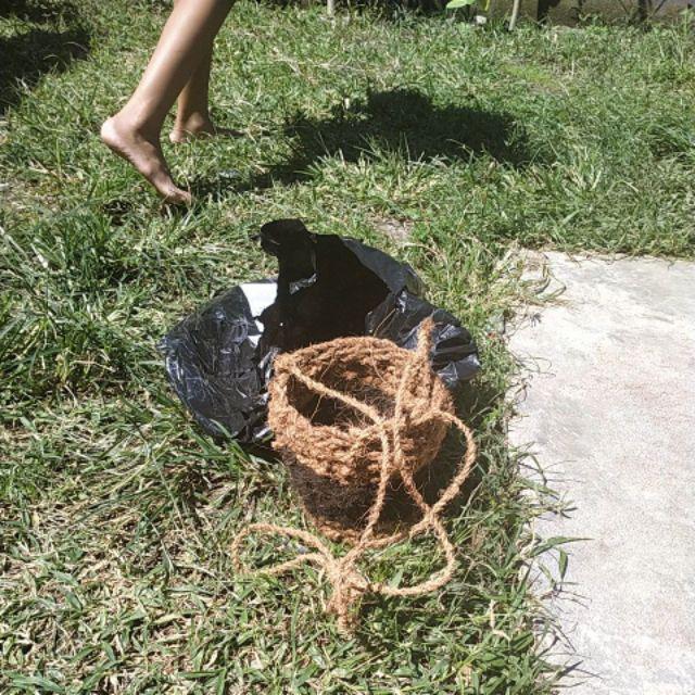 Pot Gantung Untuk Anggrek Bulan, Dendrobium Terbuat Dari Sabut Kelapa