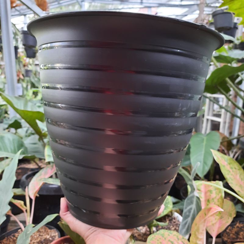 Pot Bunga Tabitha Lebah Pirus 30 Hitam / Pot Tanaman