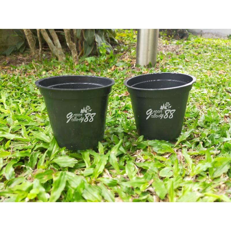 Pot Hitam Mini Kaktus - 8 cm
