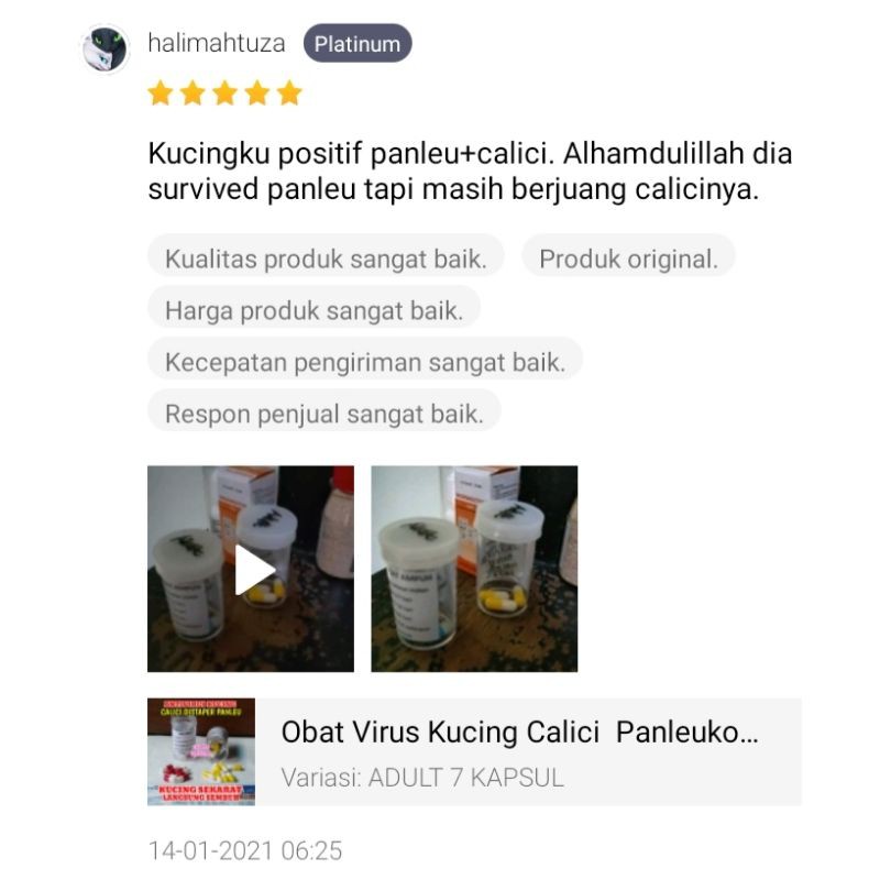 Obat Virus Kucing Calici  Panleukopenia Distemper Paling Ampuh Antivirus Cat