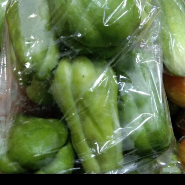Baby Labu Siam / Labu Siam Kecil