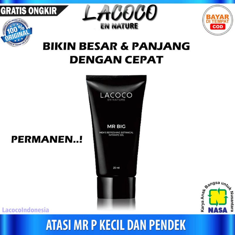 Lacoco mr big nasa original nasa mr big