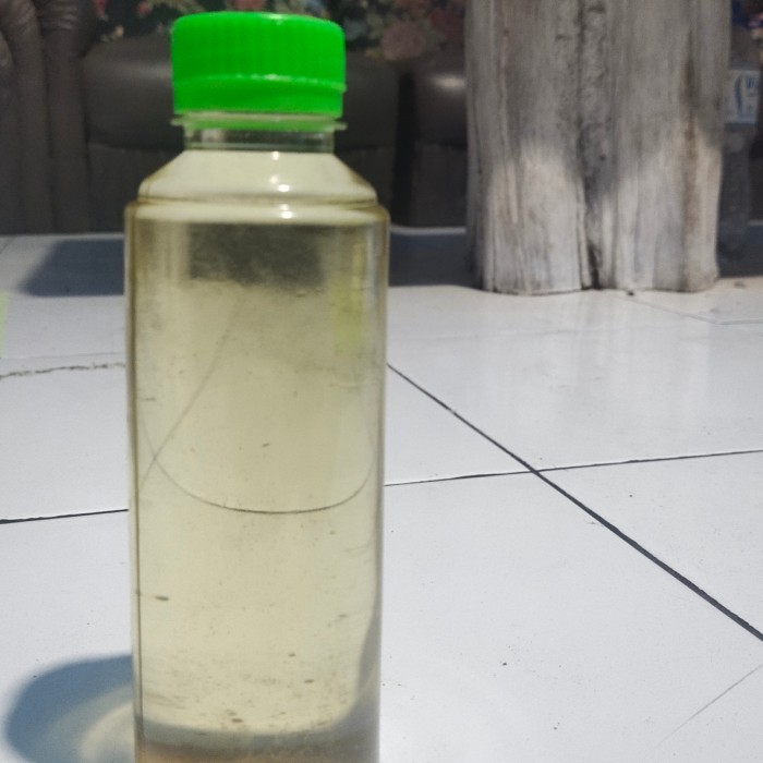 

Minyak Urut Kaori 3M Virgin Coconut Oil Minyak Kelapa
