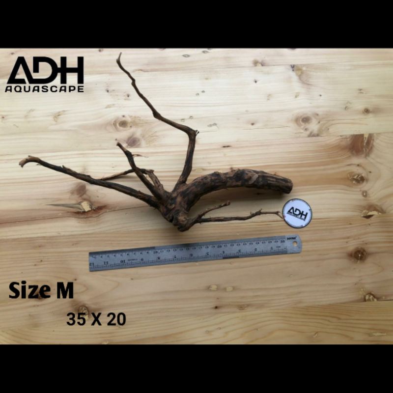 Akar rasamala aquascape - Kayu rasamala aquascape